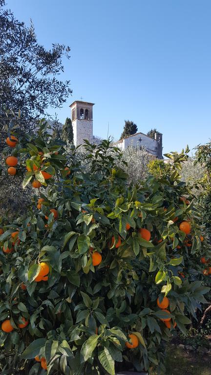 Casolare Al Dopolavoro Villa Lucca Eksteriør billede